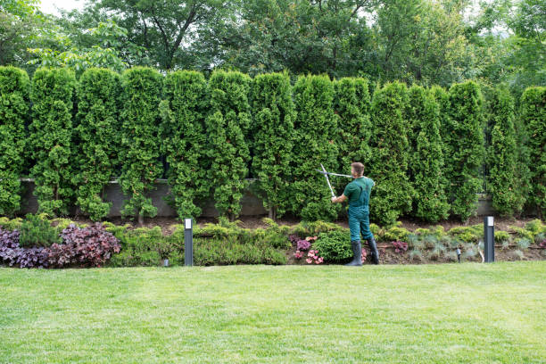 Best Hedge Trimming  in Fivepointville, PA